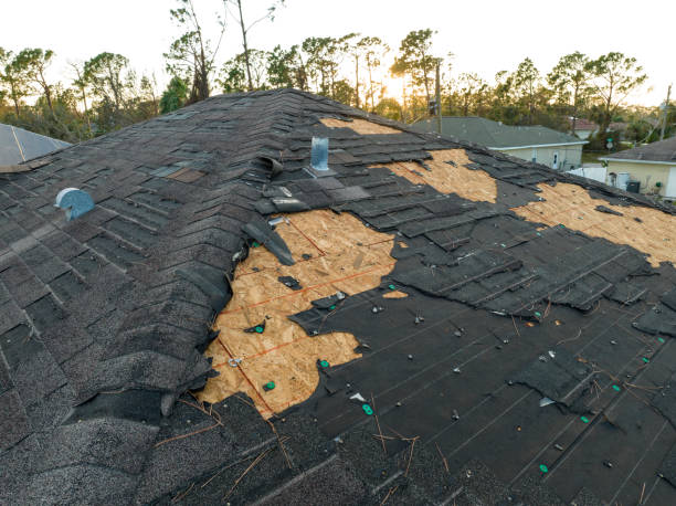 Best Storm Damage Roof Repair  in Ashland, OH