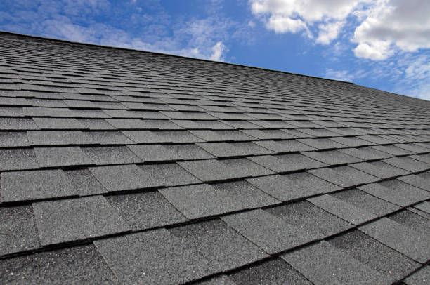 Best Roof Moss and Algae Removal  in Ashland, OH